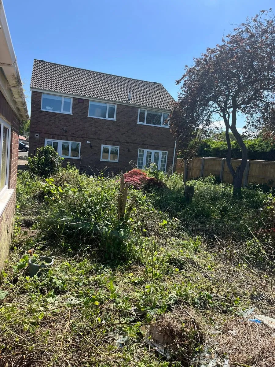 Overgrown rear garden with weeds and rubble before a new turf lawn