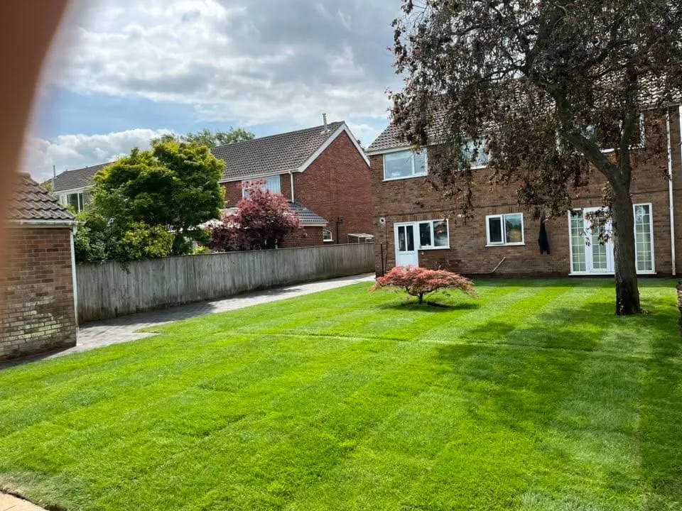 New striped turf lawn laid in a rear garden after clearance