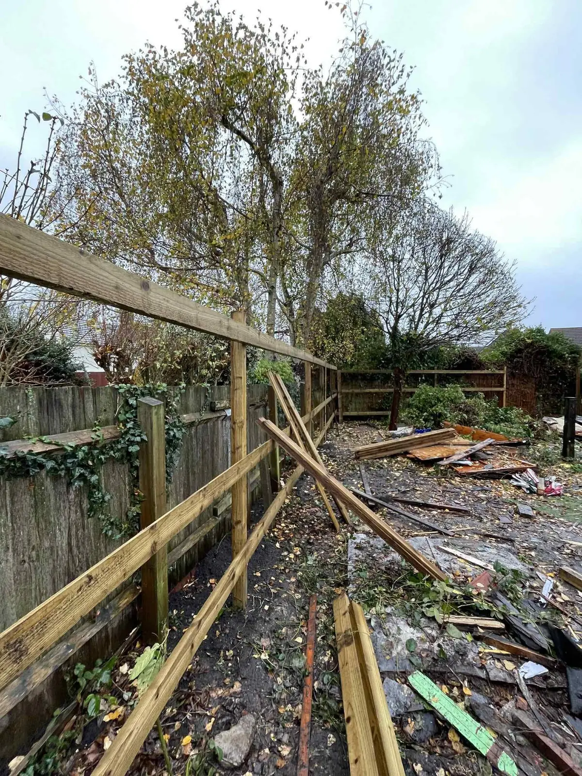 Collapsed old fence and debris in garden before new wooden fencing
